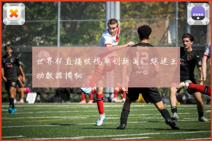 世界杯直播收视率创新高，球迷互动数据揭秘