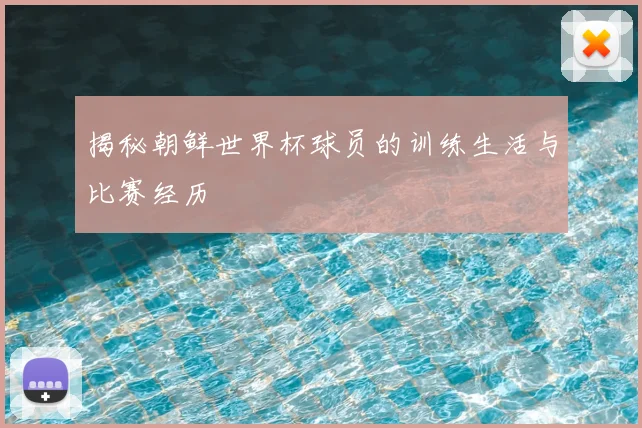 揭秘朝鲜世界杯球员的训练生活与比赛经历