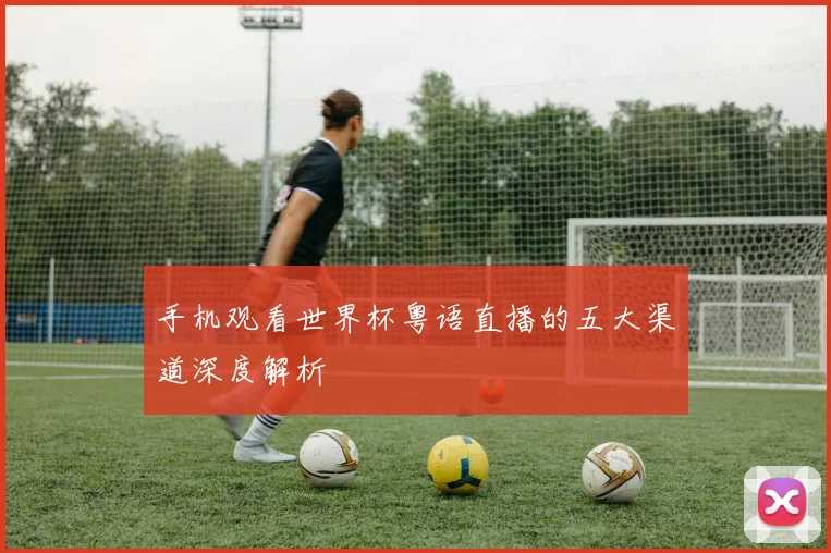 手机观看世界杯粤语直播的五大渠道深度解析