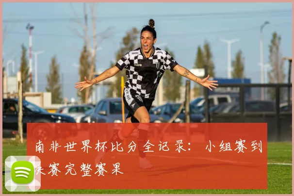 南非世界杯比分全记录：小组赛到决赛完整赛果