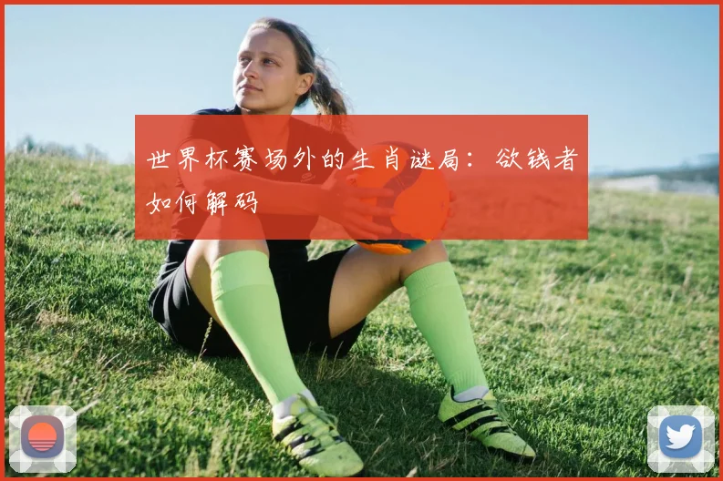 世界杯赛场外的生肖谜局：欲钱者如何解码