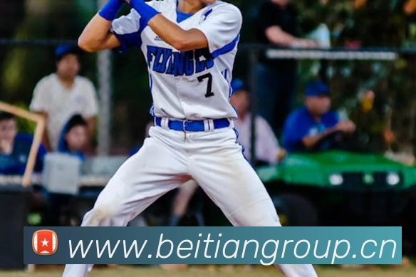 App Interface Preview